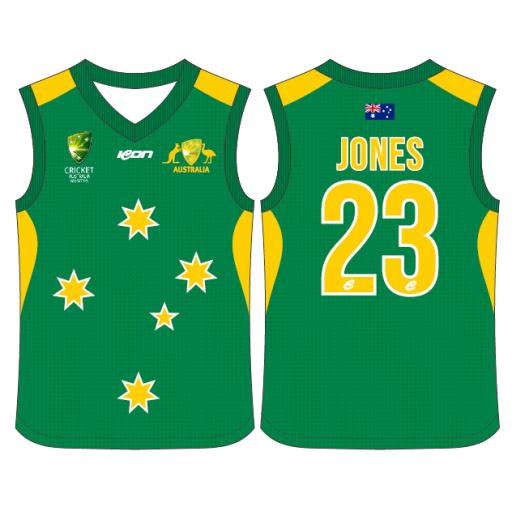 PLAYING VEST (A TEAM) - CAM